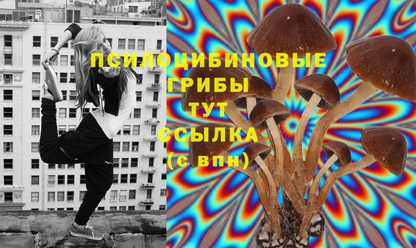 MDMA Краснослободск
