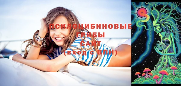 MDMA Краснослободск