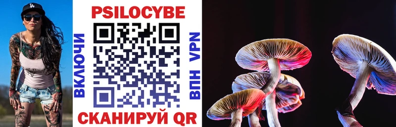 Галлюциногенные грибы Psilocybe  Купить  Кировград 