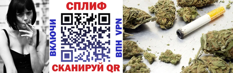 Купить закладки  Кировград  Бошки Шишки планчик 
